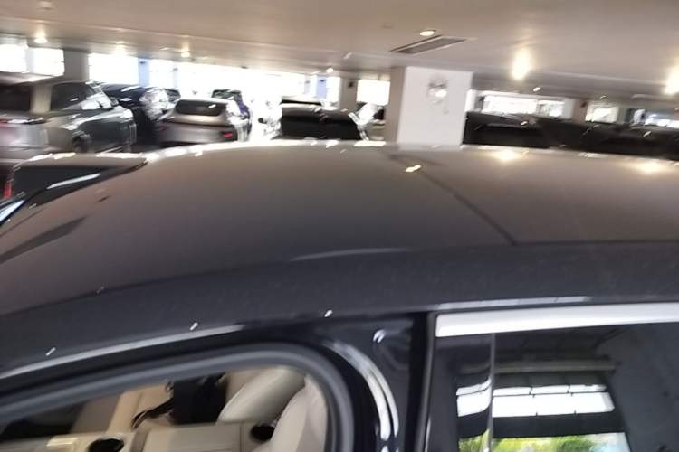 Used Li Auto L9 2022 Max model Roof