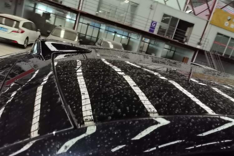 Used Li Auto L9 2022 Max model Roof