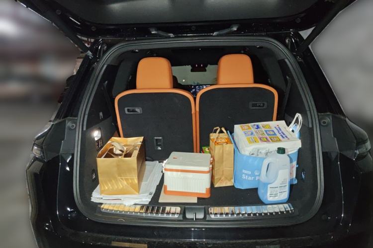 Used Li Auto L9 2022 Max model Trunk