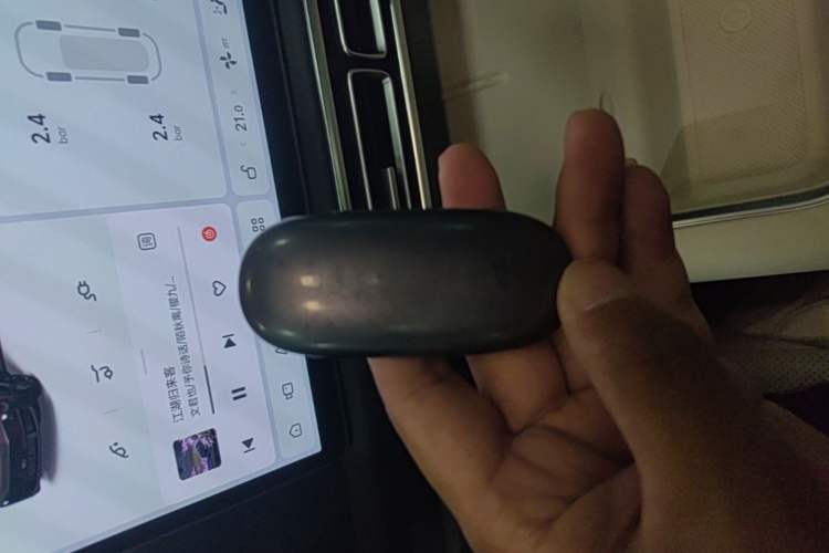 Used Li Auto L9 2022 Max model Vehicle Key
