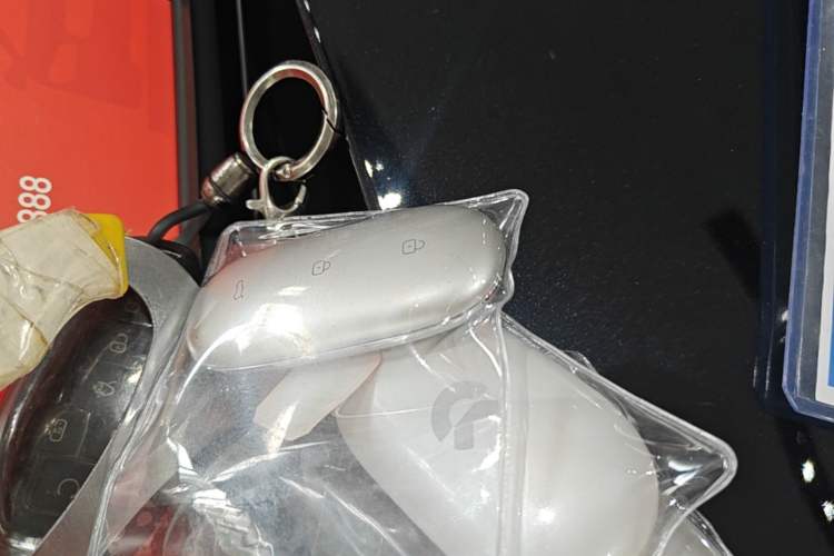 Used Li Auto L9 2022 Max model Vehicle Key