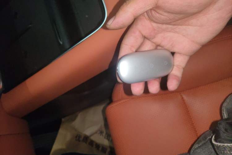 Used Li Auto L9 2022 Max model Vehicle Key