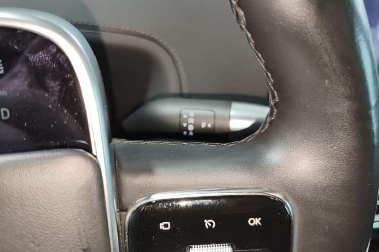 Used Li Auto L9 2022 Max model Gear Lever