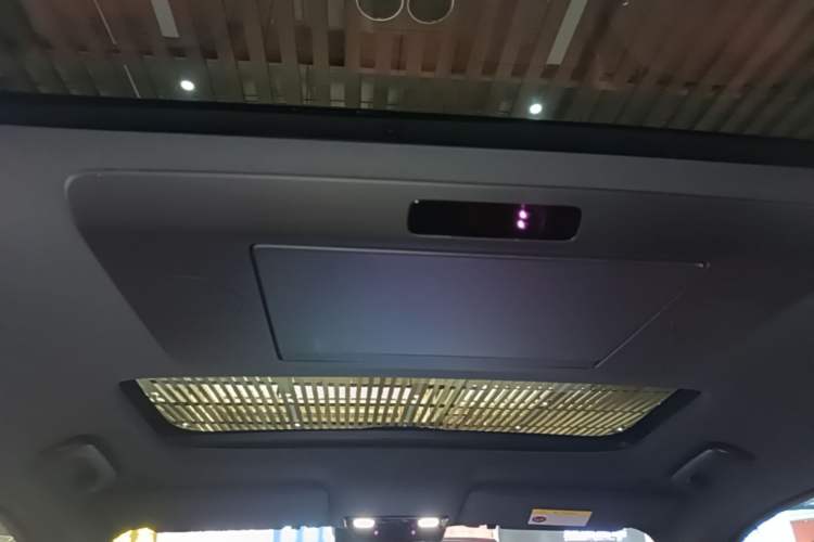 Used Li Auto L9 2022 Max model Headliner