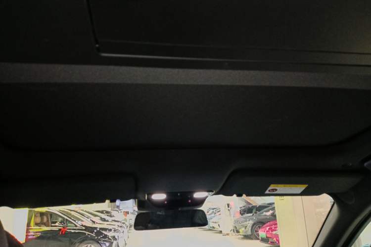 Used Li Auto L9 2022 Max model Headliner