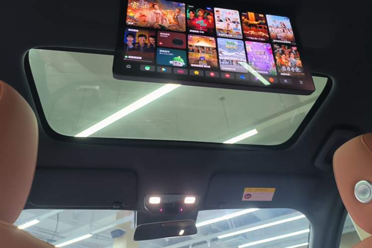 Used Li Auto L9 2022 Max model Headliner