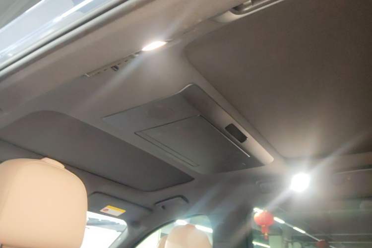 Used Li Auto L9 2022 Max model Headliner