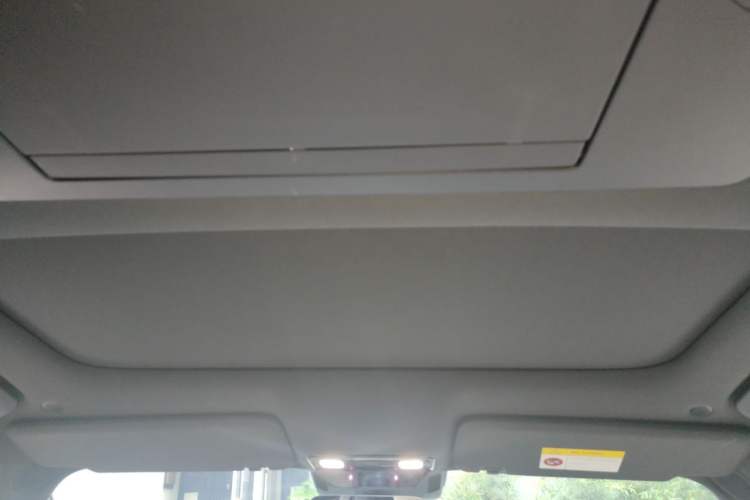 Used Li Auto L9 2022 Max model Headliner