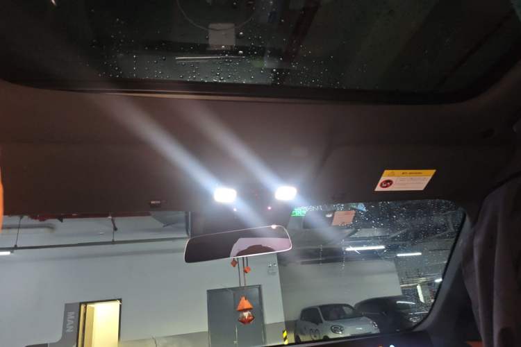 Used Li Auto L9 2022 Max model Headliner