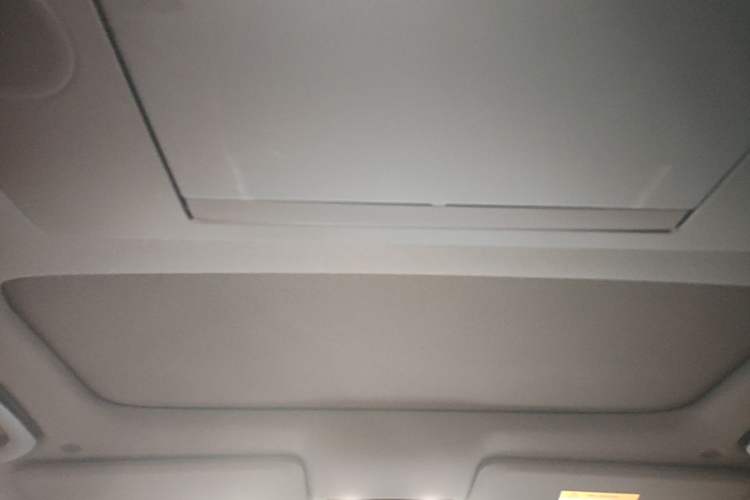 Used Li Auto L9 2022 Max model Headliner