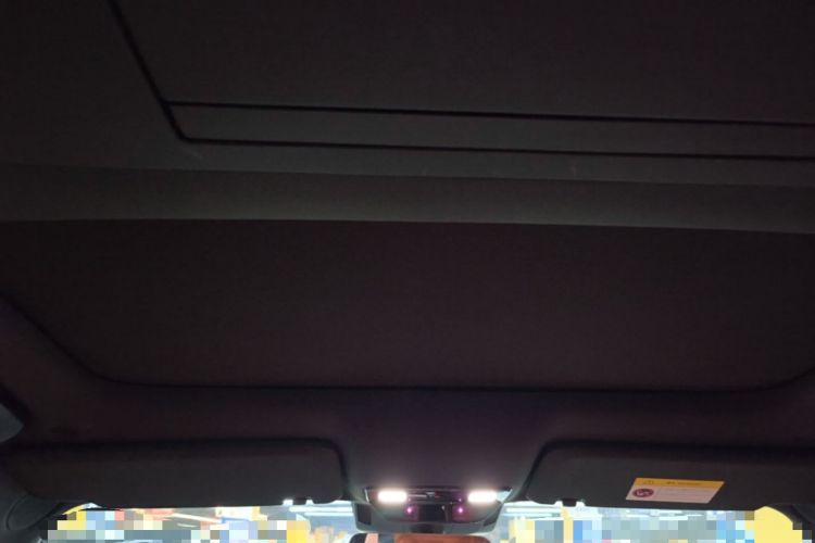 Used Li Auto L9 2022 Max model Headliner