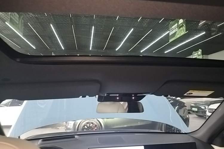 Used Li Auto L9 2022 Max model Headliner