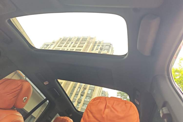 Used Li Auto L9 2022 Max model Headliner