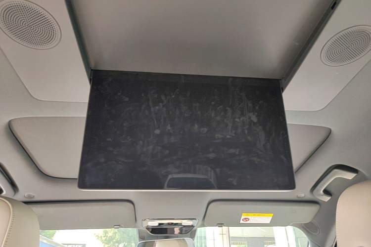 Used Li Auto L9 2022 Max model Headliner