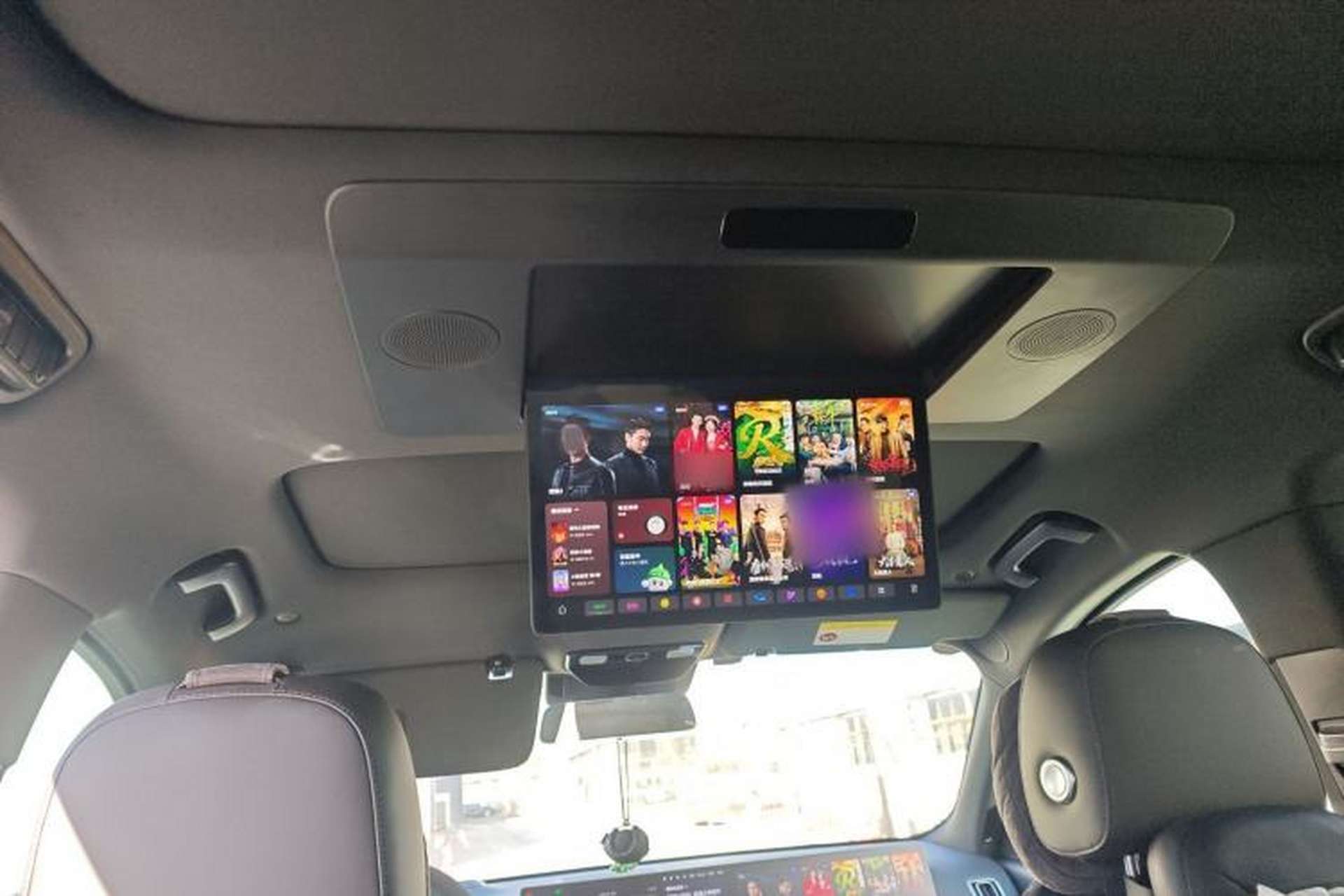 Used Li Auto L9 2022 Max model Headliner