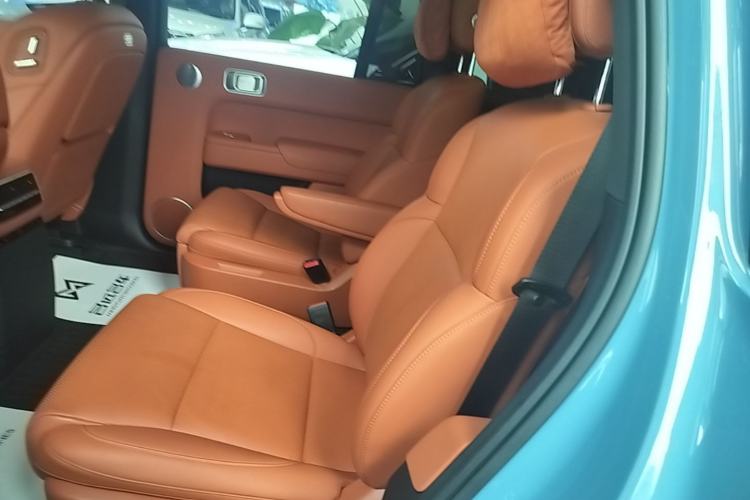 Used Li Auto L9 2022 Max model Left Rear Seat