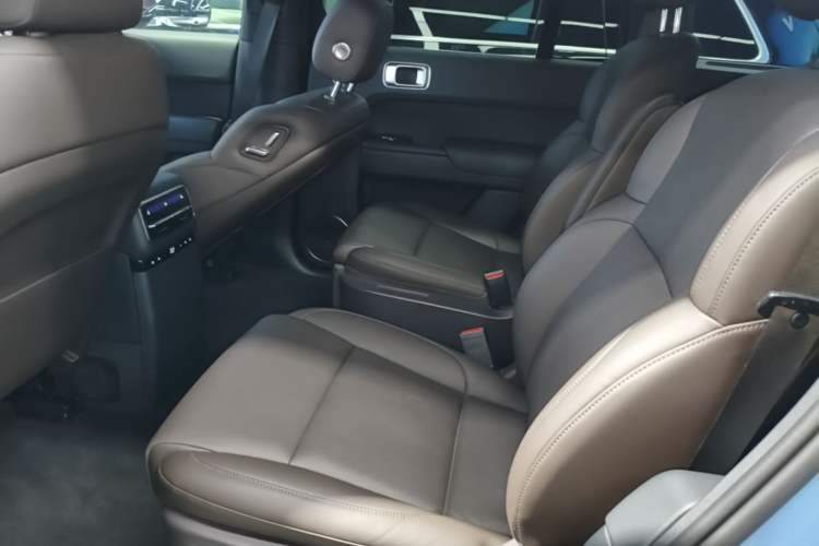 Used Li Auto L9 2022 Max model Left Rear Seat
