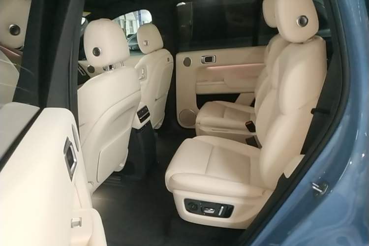 Used Li Auto L9 2022 Max model Left Rear Seat