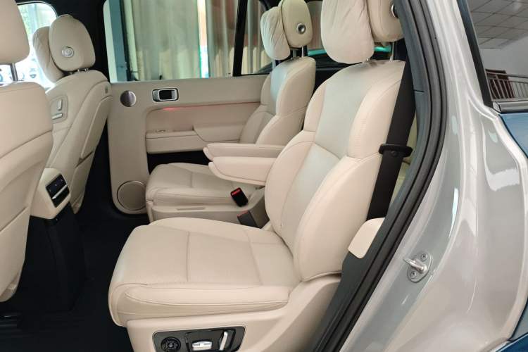 Used Li Auto L9 2022 Max model Left Rear Seat