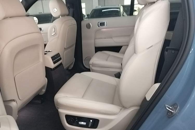 Used Li Auto L9 2022 Max model Left Rear Seat