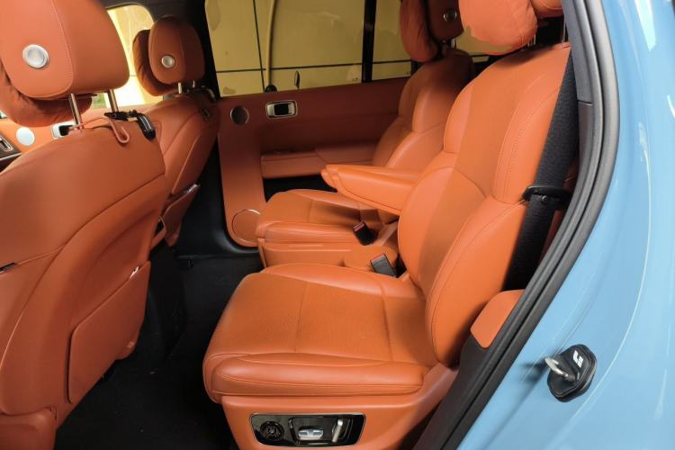 Used Li Auto L9 2022 Max model Left Rear Seat