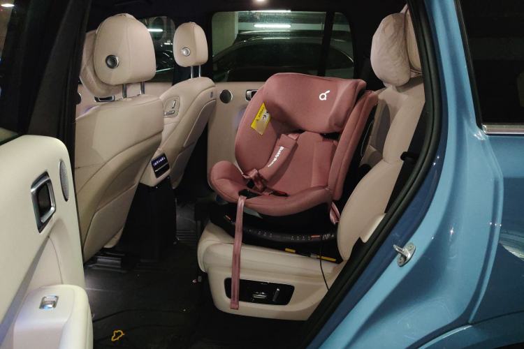Used Li Auto L9 2022 Max model Left Rear Seat
