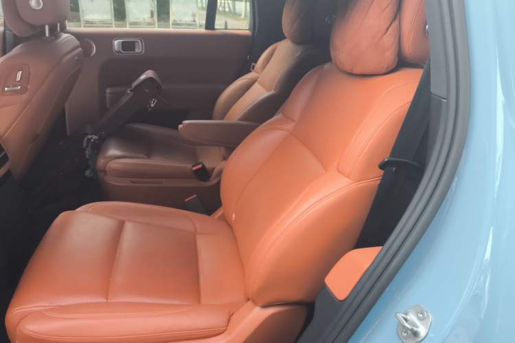Used Li Auto L9 2022 Max model Left Rear Seat
