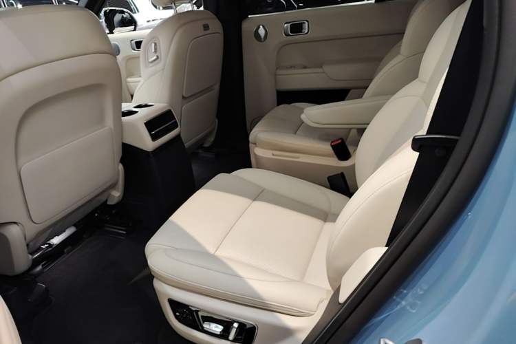 Used Li Auto L9 2022 Max model Left Rear Seat
