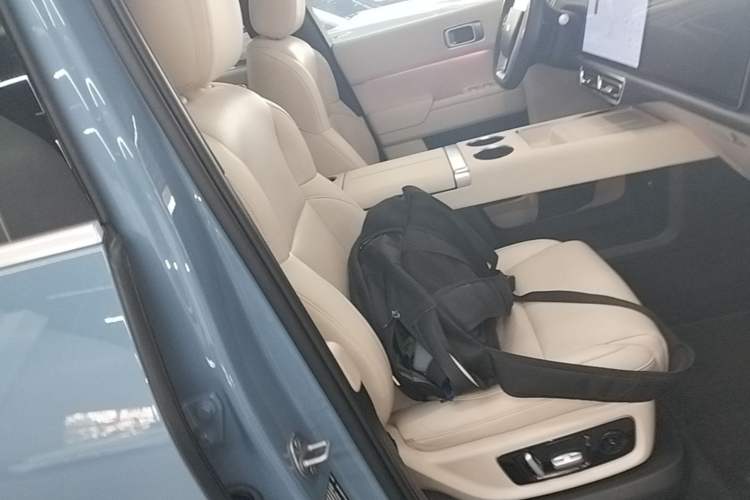 Used Li Auto L9 2022 Max model Right Front Seat