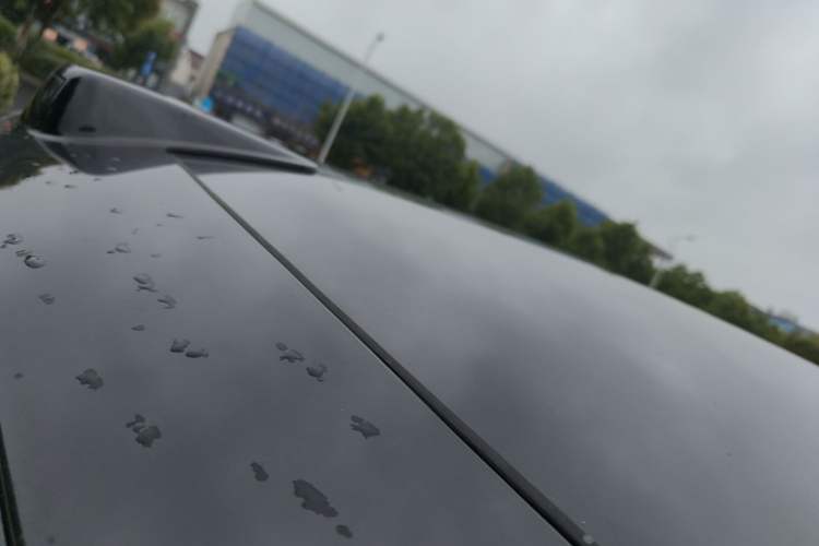 Used Li Auto L9 2022 Max model Roof