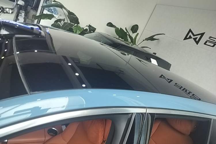 Used Li Auto L9 2022 Max model Roof