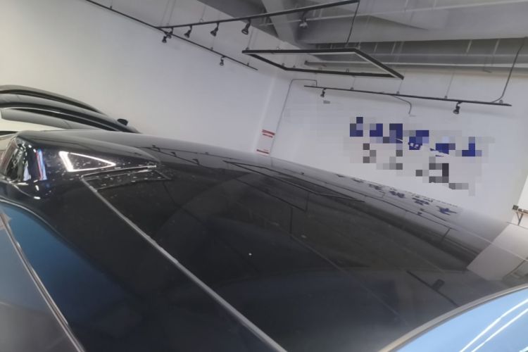 Used Li Auto L9 2022 Max model Roof