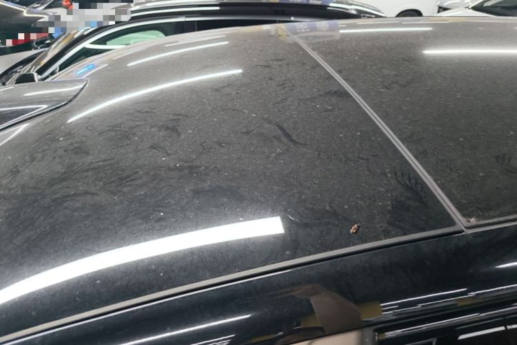 Used Li Auto L9 2022 Max model Roof