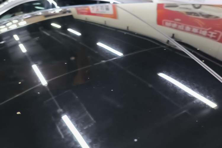 Used Li Auto L9 2022 Max model Roof