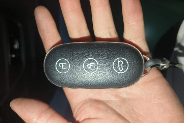 Used Li Auto L9 2022 Max model Vehicle Key