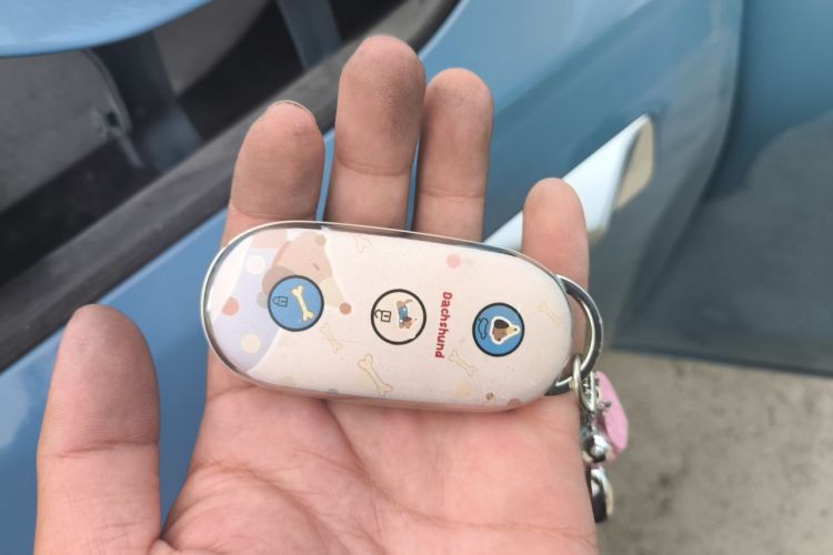 Used Li Auto L9 2022 Max model Vehicle Key