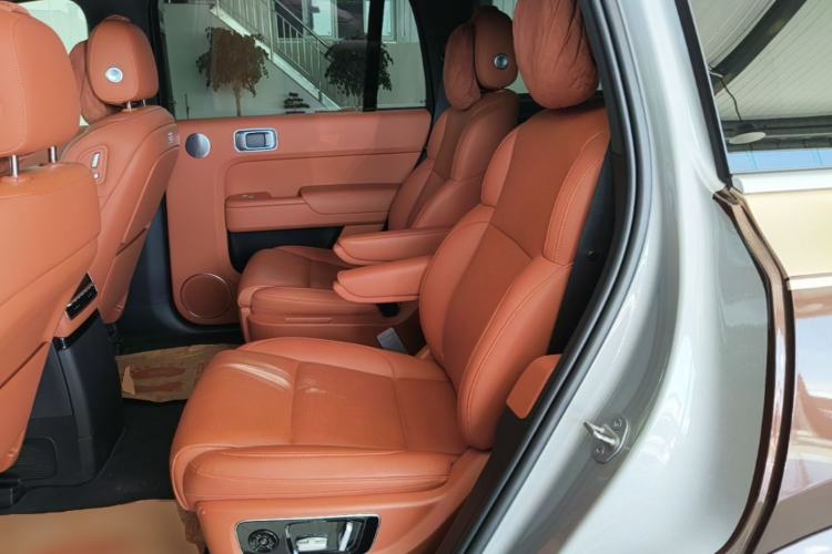 Used Li Auto L9 2022 Max model Left Rear Seat