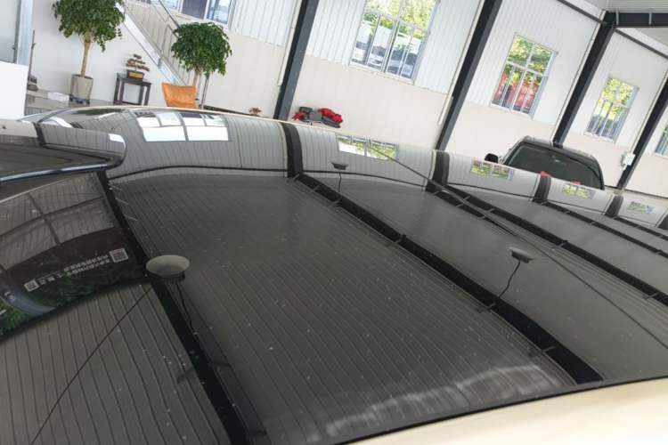 Used Li Auto L9 2022 Max model Roof