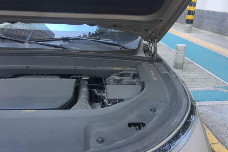 Used Li Auto L9 2022 Max model Engine Bay Left