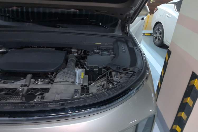 Used Li Auto L9 2022 Max model Engine Bay Left
