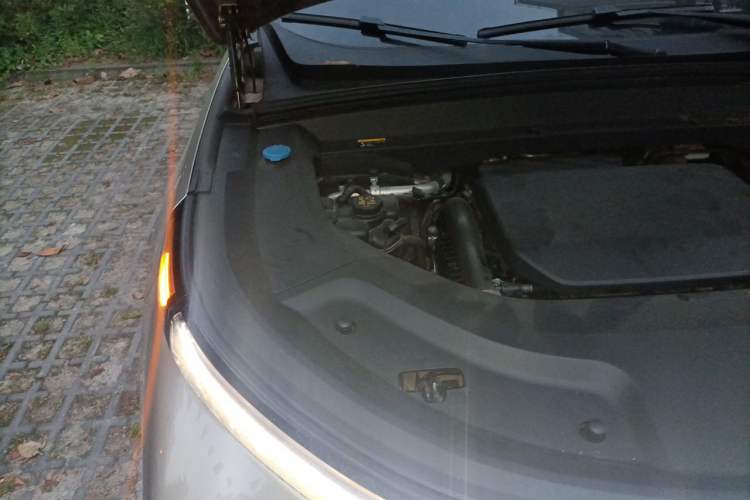 Used Li Auto L9 2022 Max model Engine Bay Right