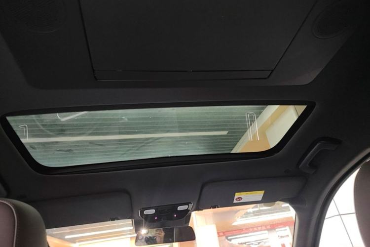 Used Li Auto L9 2022 Max model Headliner