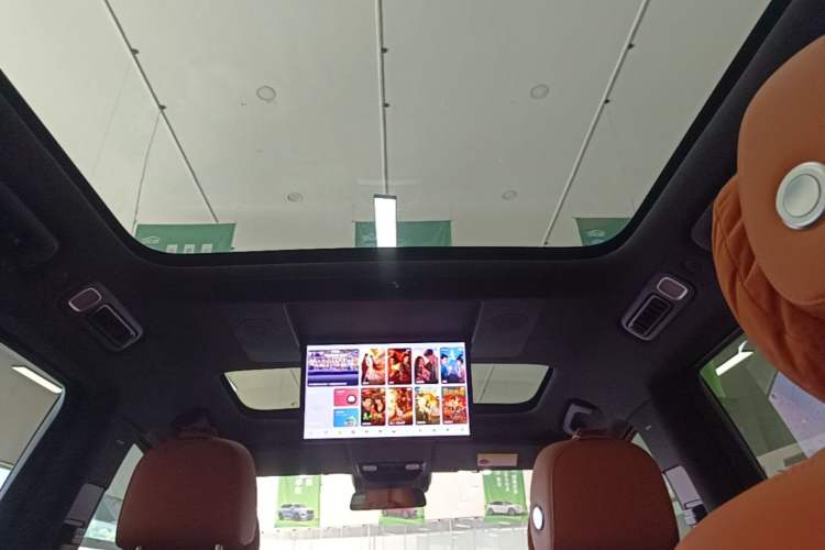 Used Li Auto L9 2022 Max model Headliner
