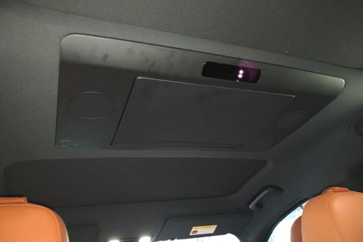Used Li Auto L9 2022 Max model Headliner
