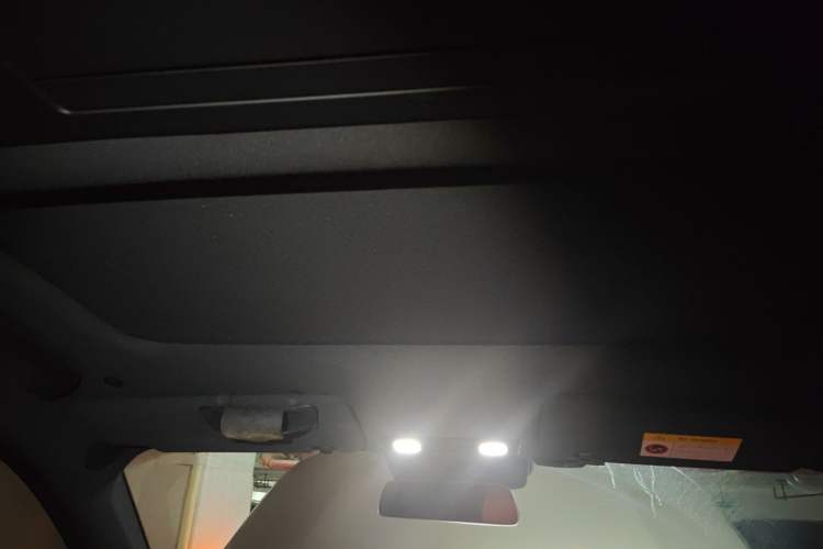 Used Li Auto L9 2022 Max model Headliner