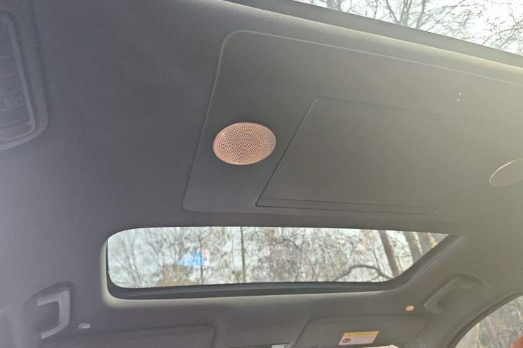 Used Li Auto L9 2022 Max model Headliner