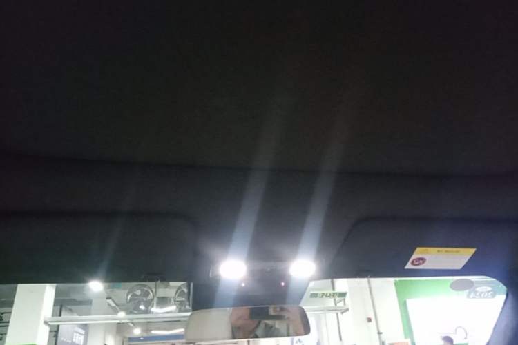 Used Li Auto L9 2022 Max model Headliner