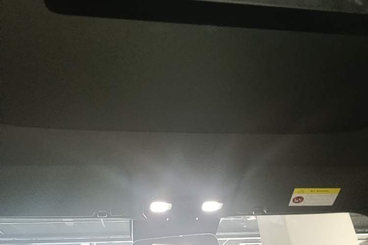Used Li Auto L9 2022 Max model Headliner