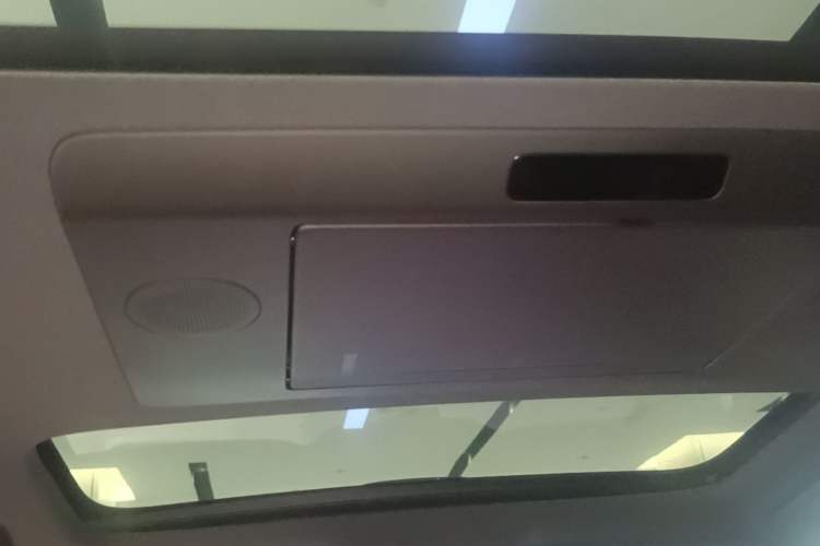 Used Li Auto L9 2022 Max model Headliner