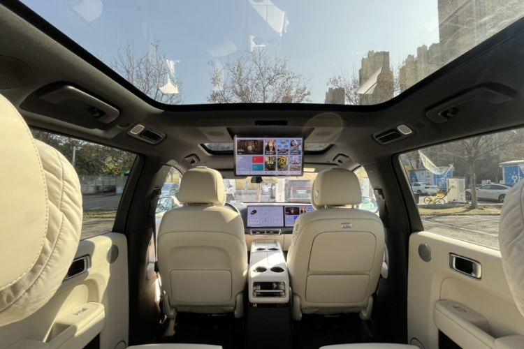 Used Li Auto L9 2022 Max model Headliner